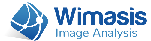 Wimasis Image Analysis